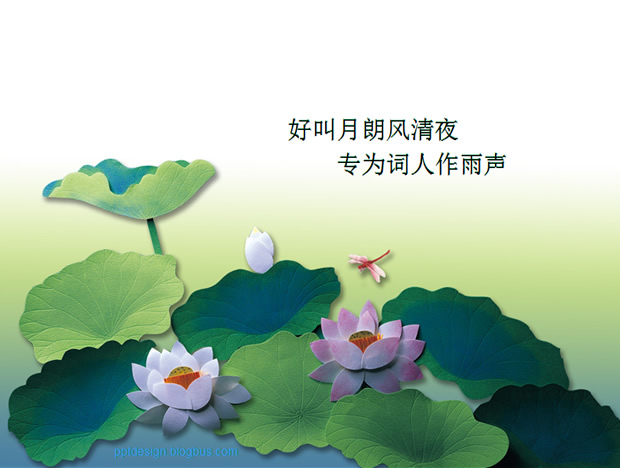 荷塘蜻蜓――中国风PPT模板